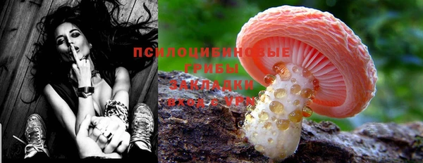 альфа пвп Гатчина