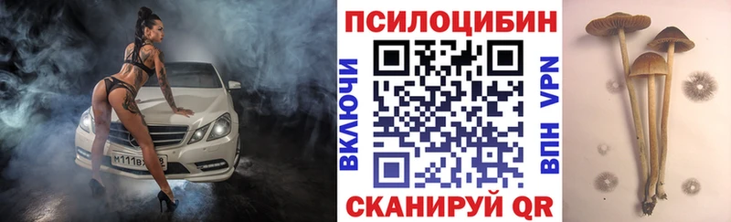 Галлюциногенные грибы Psilocybine cubensis  Купить закладки  Нерюнгри 